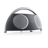 Harman Kardon Go & Play 